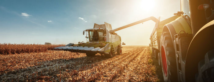 combine-harvester-field