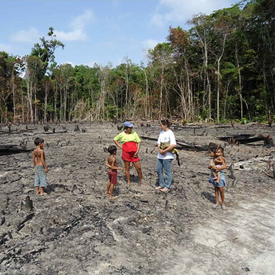 Helping To Reduce Deforestation In The Amazonian Rainforest, Brazil