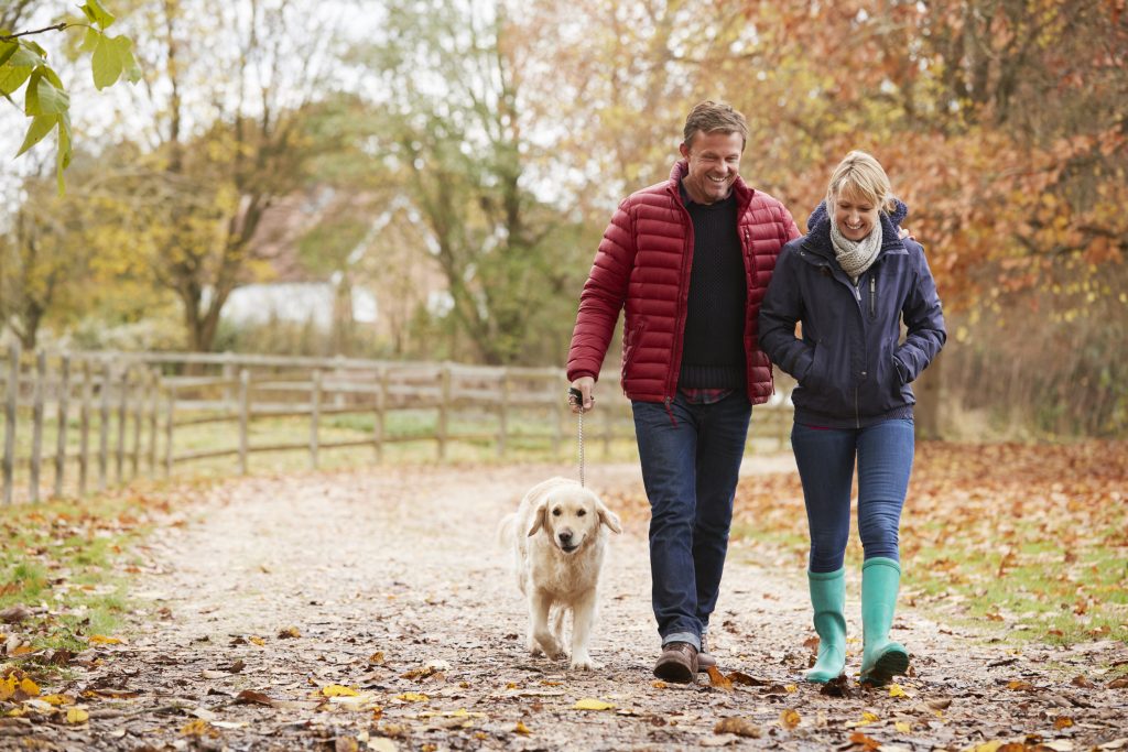 Couple On Autumn Walk With Labrador