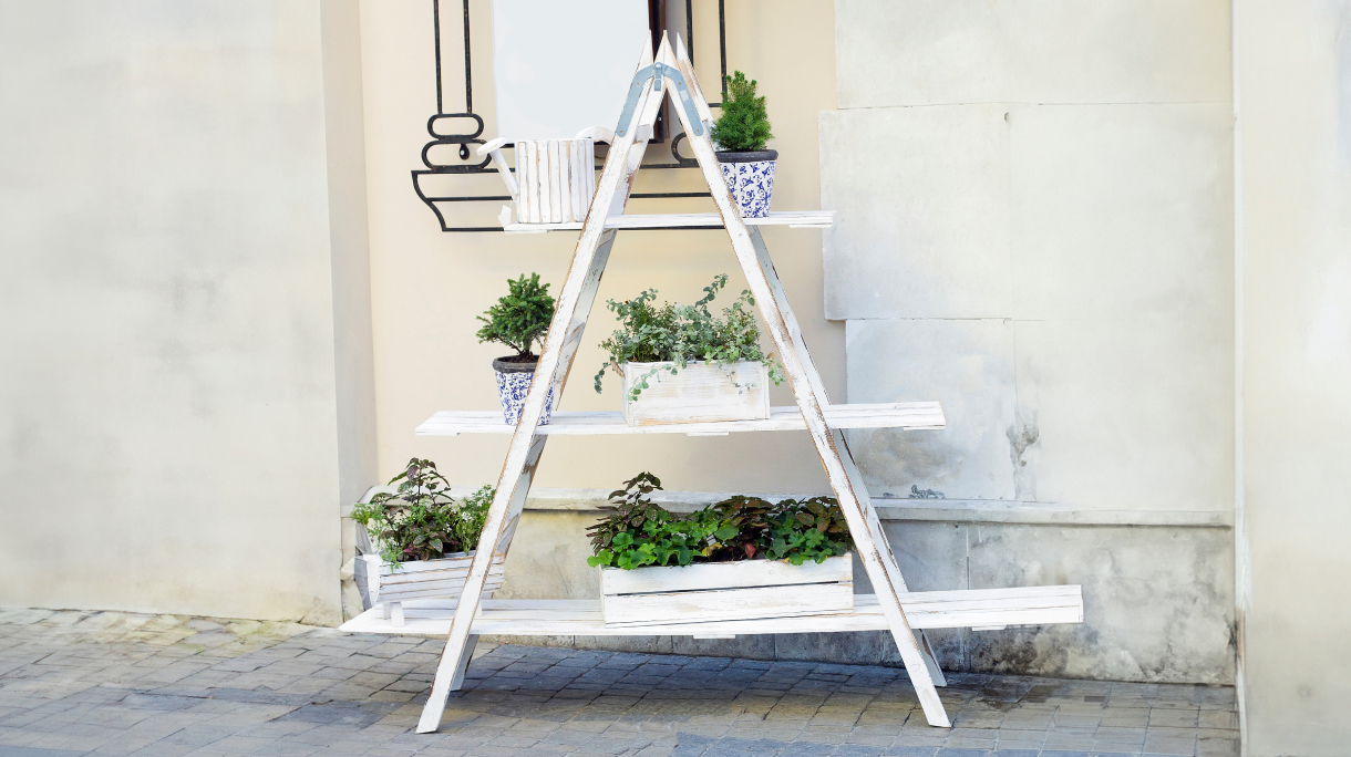 Ladder Shelves