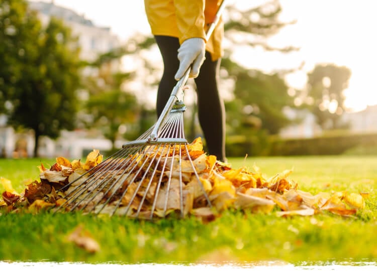Preparing your garden for winter
