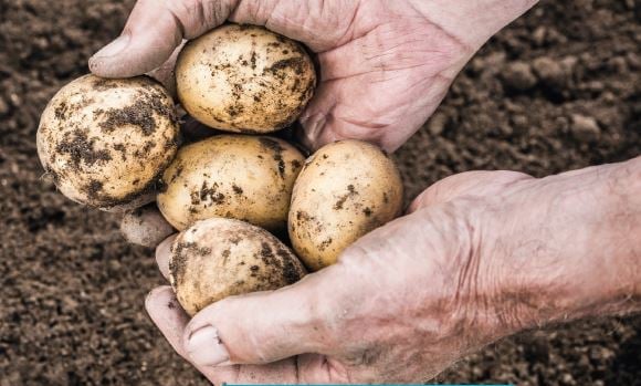 Using telemetry to take the stress out of fuel management for Fairfields Farm