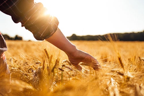 Ask the Fuel Expert: planting the seed for a successful harvest