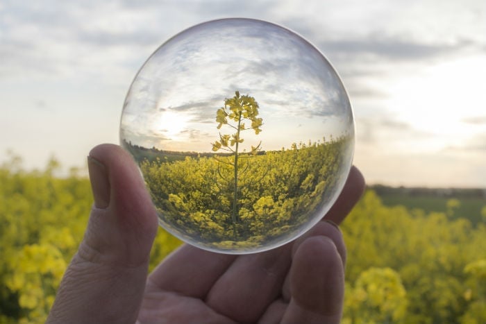 Why Diesel Needn’t Be So Dirty: New Report Sets The Record Straight On The New Energy Reality