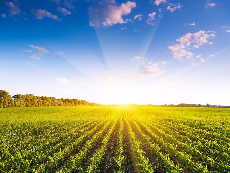 Clearing The Air On Alternative Fuels This Clean Air Day