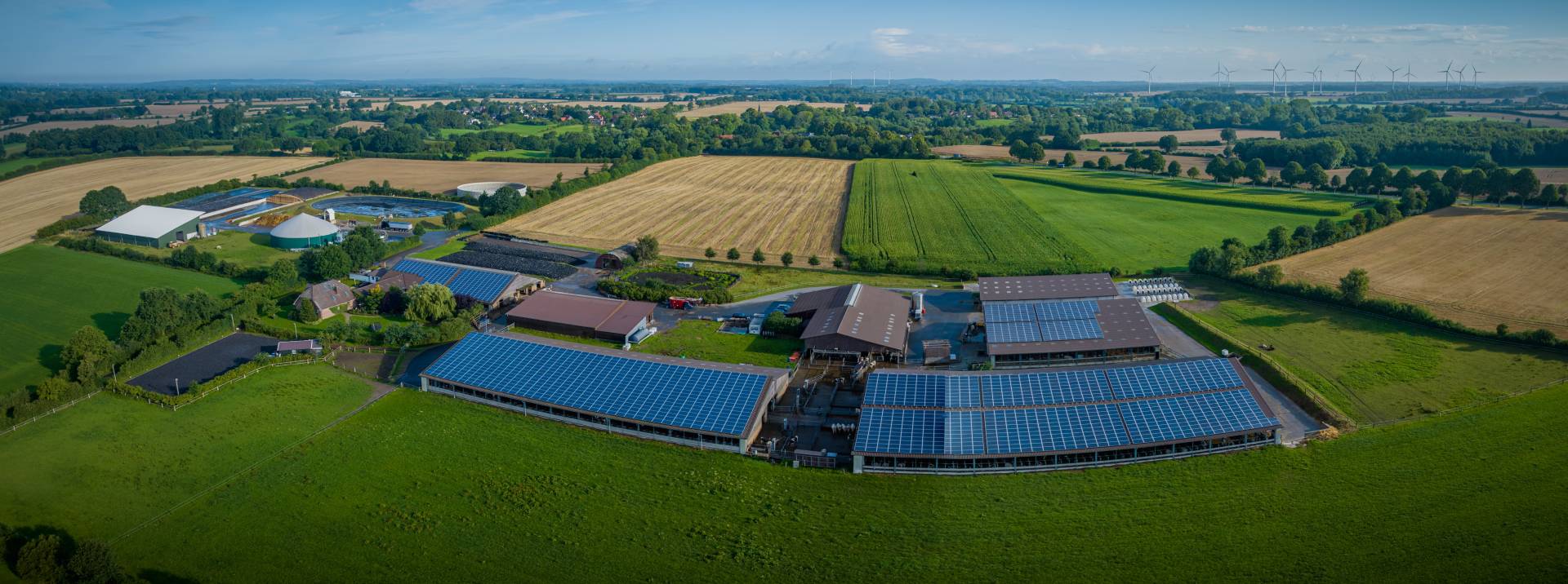 Ready to Go Solar? Solar PV with Evolo from Certas Energy and the Improving Farm Productivity Grant
