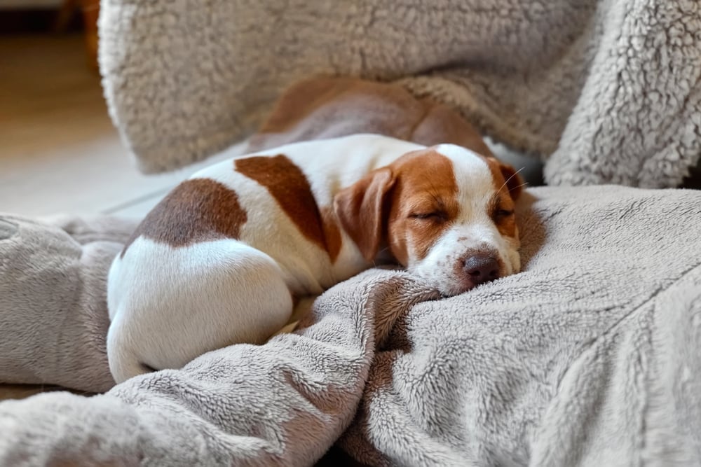 Our Top 3 Tips for Preparing your Boiler for Winter