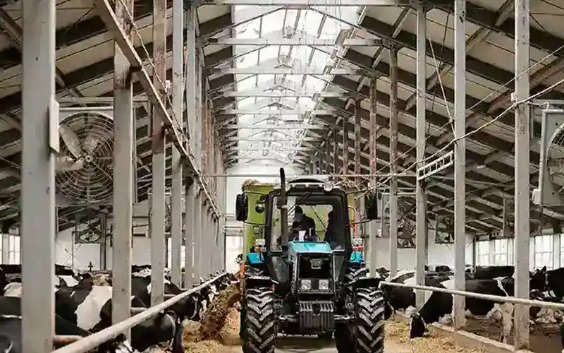 A cow shed with tractor driving through.
