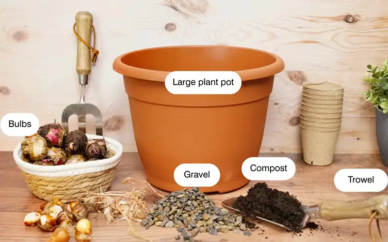 All the items required to make a bulb lasagne.